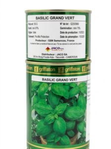 Basilic Grande Vert