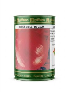 Oignon violet de Galmi