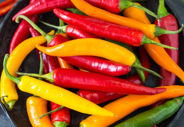 Chilli-pepper-2