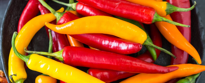 Chilli-pepper-2