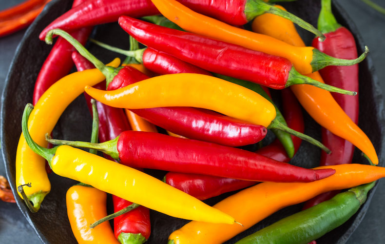 Chilli-pepper-2
