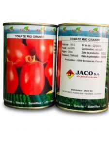 Tomate Rio Grabde(GSN)