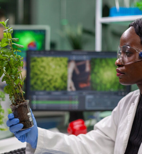 Scientist looking at green sapling for medical experiment while typing on keyboard ecology expertise. woman researcher observing genetic mutation on plants, working in agriculture laboratory.