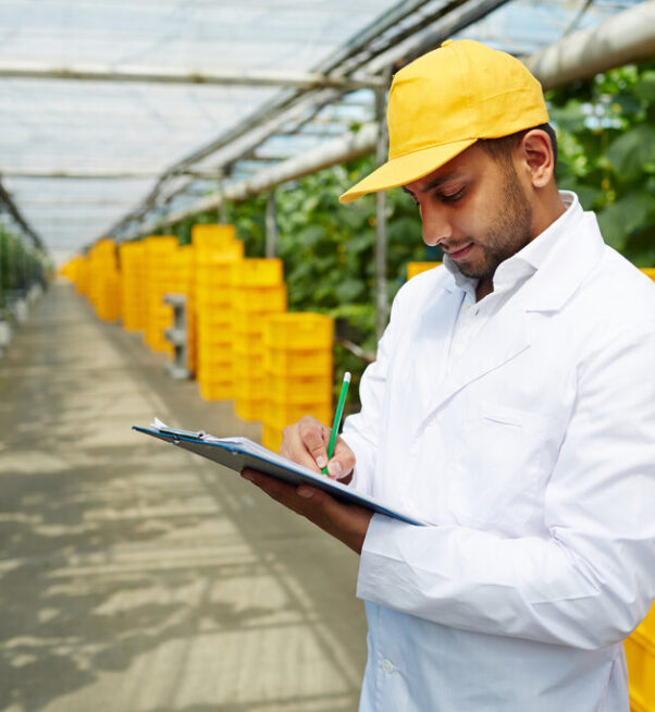 Worker of greenhouse in whitecoat and yellow baseball cap making notes on paper