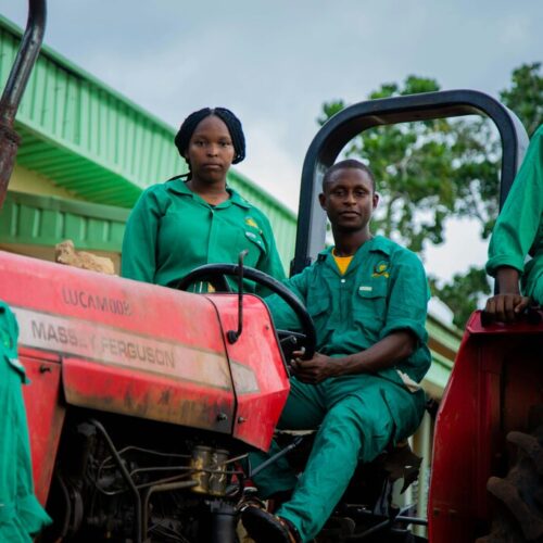 Agricultural Consulting Company Cameroon