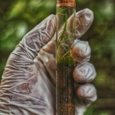 soil testing cta