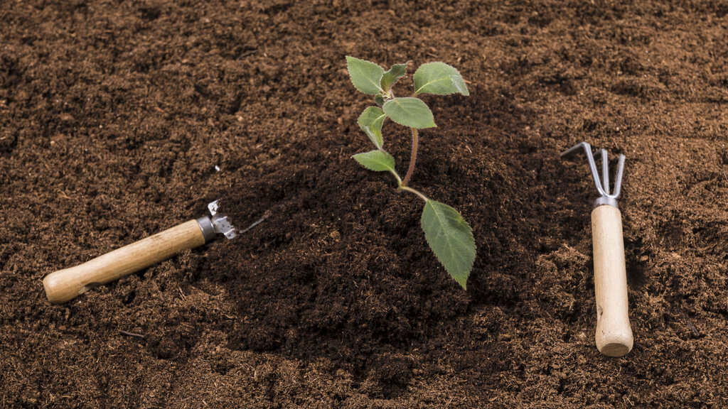 soil testing services cameroon